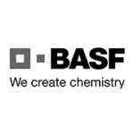bsaf logo